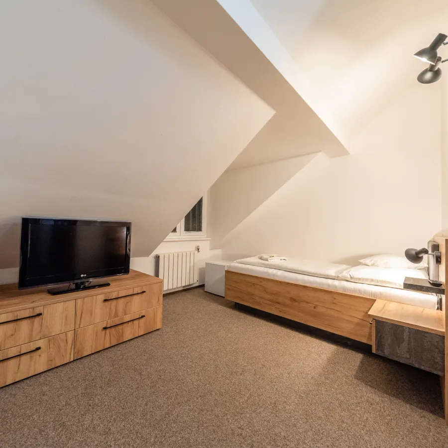 Attic room with a bed